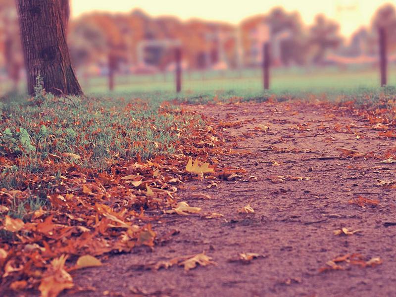 海外梯子加速器VPN全球服务器覆盖地图